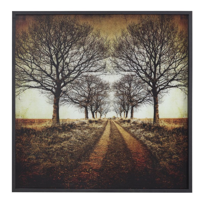Yosemite Home Decor 'Distance' Tempered Glass/Wood Photo in Multi-Color