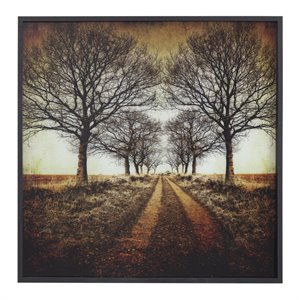 Yosemite Home Decor 'Distance' Tempered Glass/Wood Photo in Multi-Color