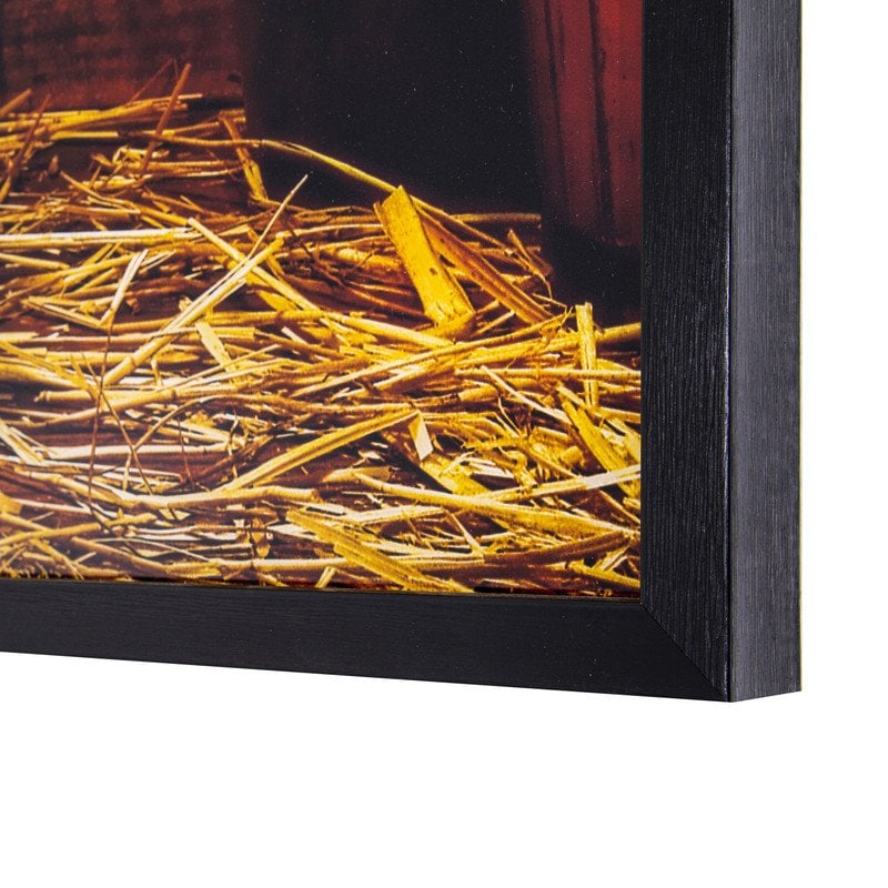 Yosemite Home Decor 'Deep Rooted' Tempered Glass/Wood Photo in Multi-Color