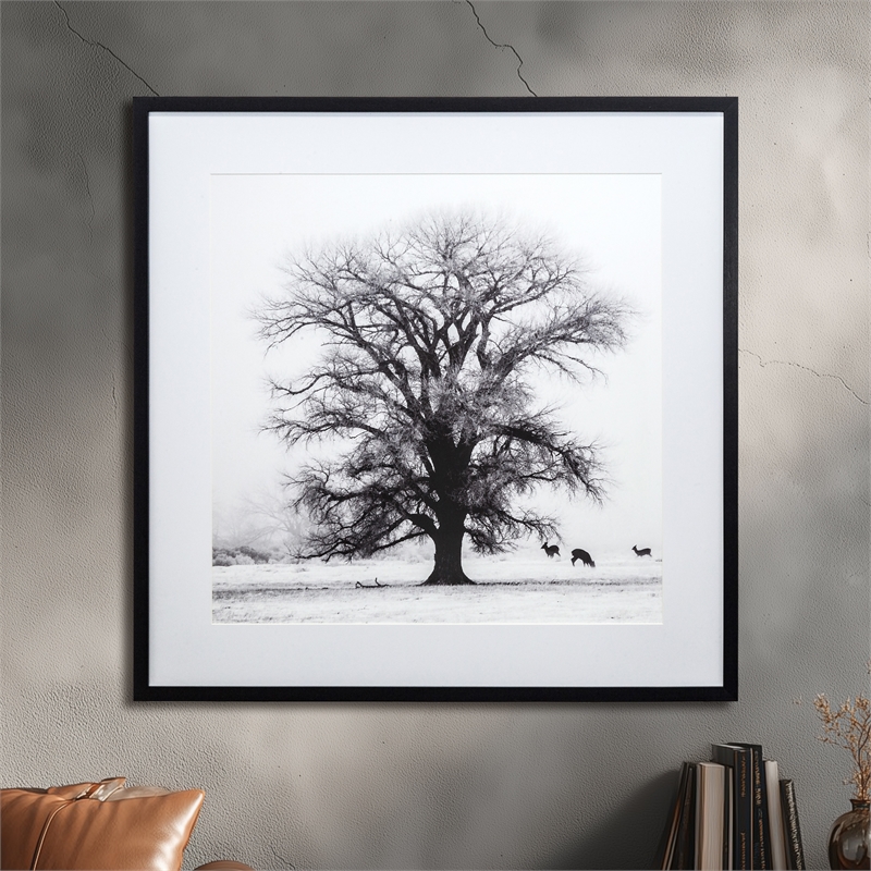 Yosemite Home Decor 
