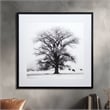 Yosemite Home Decor 