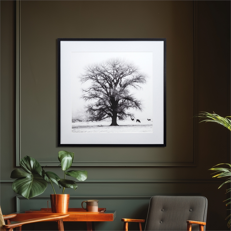 Yosemite Home Decor 