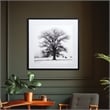 Yosemite Home Decor 