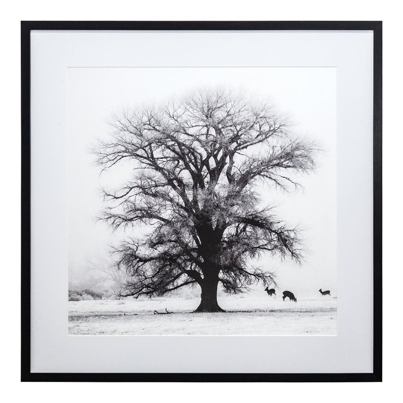 Yosemite Home Decor 