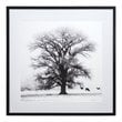 Yosemite Home Decor 