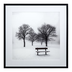Yosemite Home Decor &quotWinters Morning Fog III&quot Glass Wall Art in Black