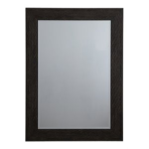 Yosemite Home Decor Bryson 43.4&quotx31.4&quot Framed Plastic Wall Mirror in Black