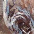 Yosemite Home Decor 