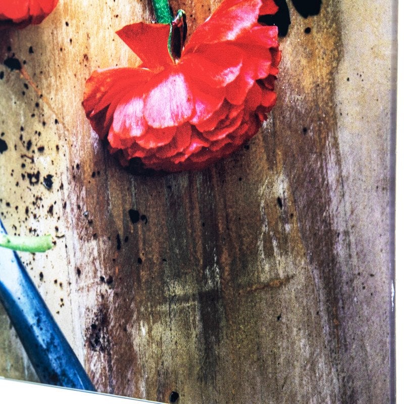 Yosemite Home Decor 'Earthy Charm I' Glass/Wood Photo in Multi-Color