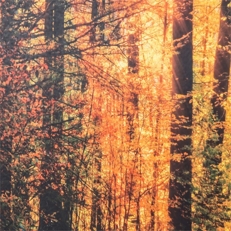 Yosemite Home Decor 