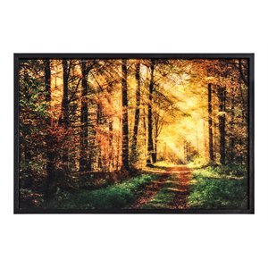 Yosemite Home Decor &quotThe Road Traveled&quot Glass Photographic Art in Multi-Color