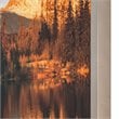 Yosemite Home Decor 