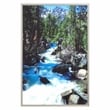 Yosemite Home Decor 