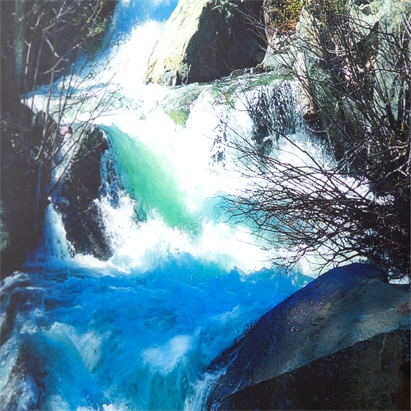 Yosemite Home Decor 