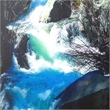 Yosemite Home Decor 