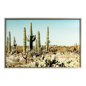Yosemite Home Decor &quotSaguaro&quot Tempered Glass/Wood Photographic Art in Green