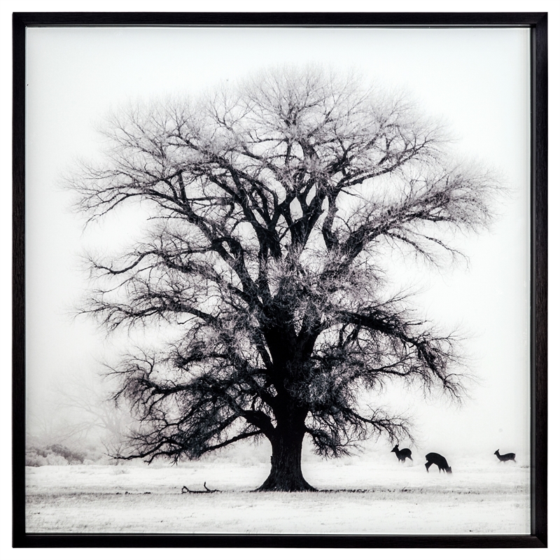 Yosemite Home Decor 