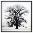 Yosemite Home Decor 