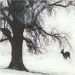Yosemite Home Decor 