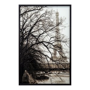 Yosemite Home Decor &quotPerspective In Paris&quot Glass Photographic Art in Black