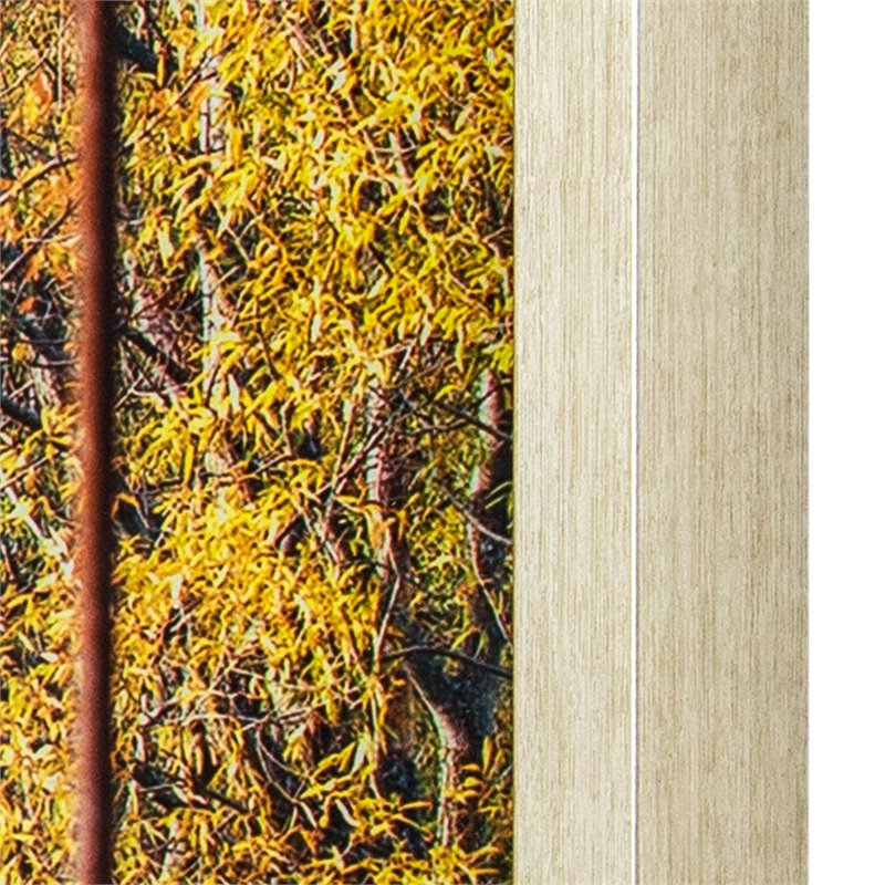 Yosemite Home Decor 