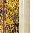 Yosemite Home Decor 
