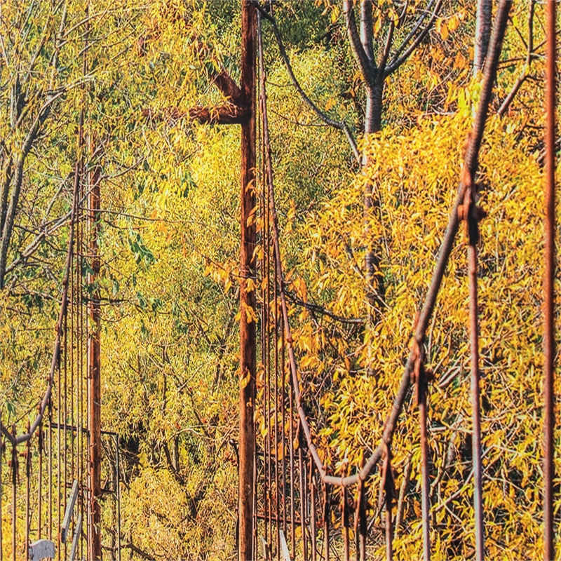 Yosemite Home Decor 