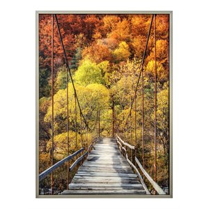 Yosemite Home Decor &quotWoodlands&quot Glass/Wood Photographic Art in Multi-Color