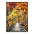 Yosemite Home Decor 
