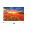 Yosemite Home Decor 