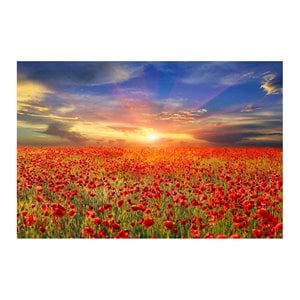 Yosemite Home Decor &quotAll the Poppies&quot Glass Photographic Art in Multi-Color