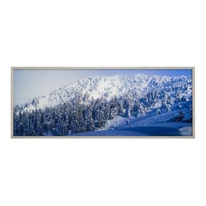 Yosemite Home Decor &quotAlpine Landscape&quot Glass Photographic Art in Multi-Color