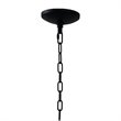 Yosemite Home Decor Orion 6-Light Metal Chandelier in Clear Seeded/Matte Black