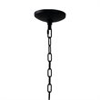 Yosemite Home Decor Belt 1-Light Orbital Geometric Metal Pendant in Matte Black