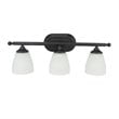 Yosemite Home Decor Jordan 3-Light Metal/Glass Vanity Light in Matte Black