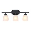 Yosemite Home Decor Jordan 3-Light Metal/Glass Vanity Light in Matte Black