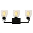 Yosemite Home Decor Jordan 3-Light Metal/Glass Vanity Light in Clear/Matte Black