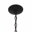 Yosemite Home Decor Mitchell Peak 5-Light Glass Hanging Chandelier in Bronze