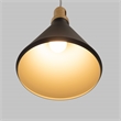Yosemite Home Decor Noir 1-Light Transitional Aluminum Pendant in Black