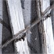 Yosemite Home Decor 