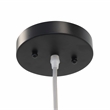 Yosemite Home Decor Noir 1-Light Transitional Aluminum Pendant in Black