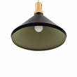 Yosemite Home Decor Noir 1-Light Transitional Aluminum Pendant in Black