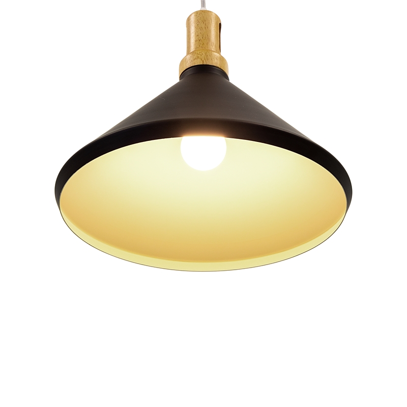 Yosemite Home Decor Noir 1-Light Transitional Aluminum Pendant in Black