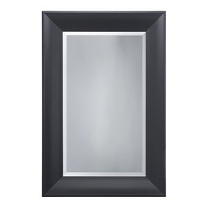 Yosemite Home Decor Medium Rectangle Beveled Glass Resin Casual Mirror in Black