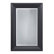 Yosemite Home Decor Medium Rectangle Beveled Glass Resin Casual Mirror in Black
