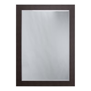 Yosemite Home Decor Large Rectangle Resin Casual Mirror in Brown