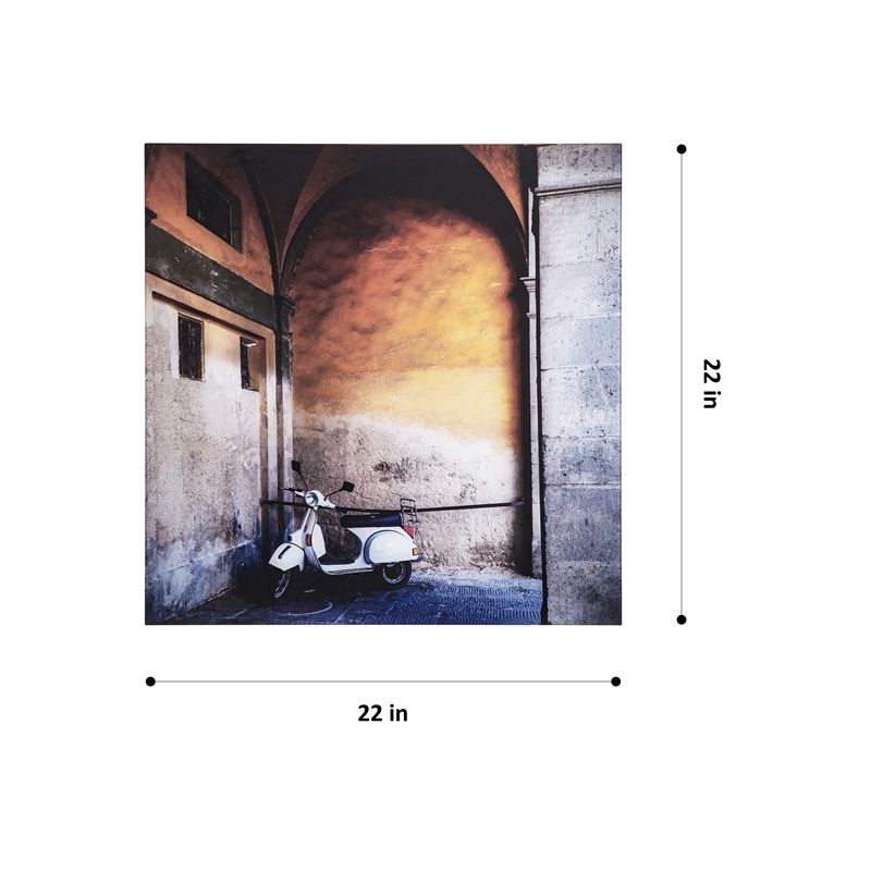 Yosemite Home Decor 'Le Velo I' Tempered Glass/Wood Photo in Multi-Color