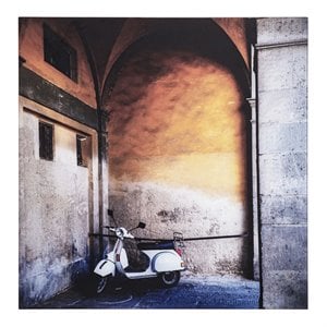 Yosemite Home Decor 'Le Velo I' Tempered Glass/Wood Photo in Multi-Color