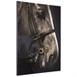 Yosemite Home Decor 