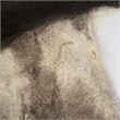 Yosemite Home Decor 